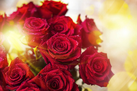 华丽的猩红玫瑰花束，滴着露珠，为你的文字提供复制空间