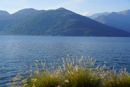 意大利的卢伊诺湖