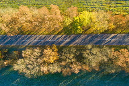 秋天的背景。 秋天的路景从上面看。 五颜六色的秋季运输背景。 空中景观。 黄树在道路上的无人机视野。
