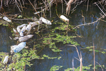 小河流灌溉渠道的脏污水和家庭垃圾导致藻类迅速生长。 水污染。 生态问题。 塑料的问题。 使用水是危险的，禁止使用