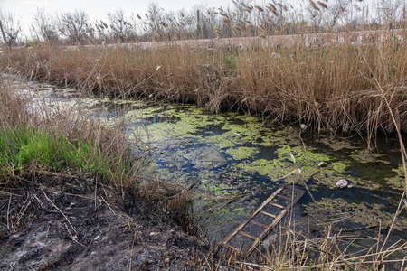 水污染. 生态问题. 塑料的问题. 使用水是危险的,禁止使用照片