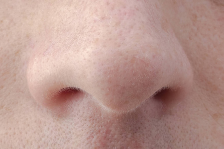 男性的鼻子图片