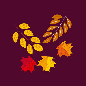 树叶颜色，花车，装饰颜色，背景矢量插图