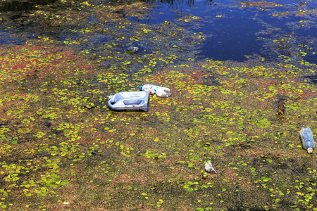 塑料瓶污染自然. 河里的瓶子和垃圾照片