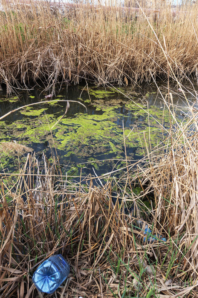 水污染. 生态问题. 塑料的问题. 使用水是危险的,禁止使用