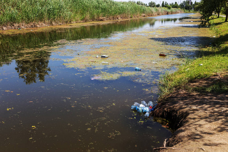 水中的垃圾. 塑料瓶污染自然. 河里的瓶子和垃圾照片