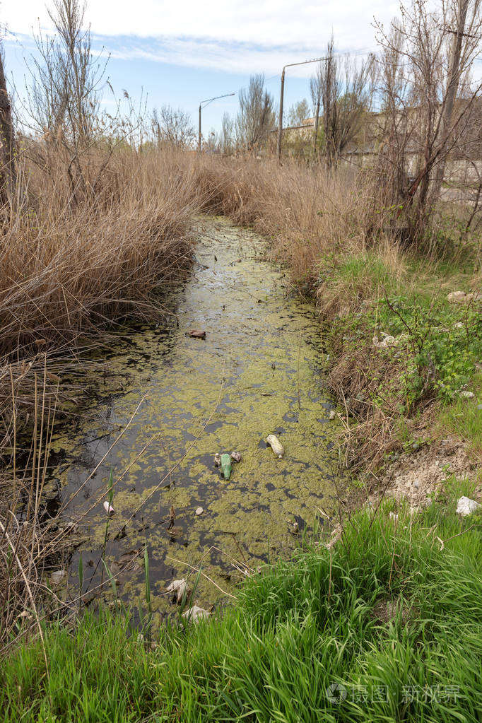小河流灌溉渠道的脏污水和家庭垃圾导致藻类迅速生长水