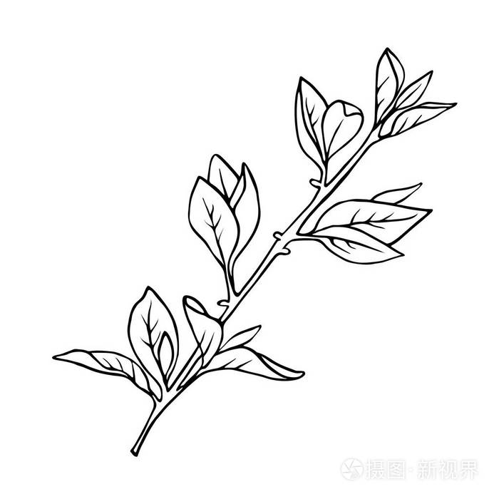 插画-正版商用图片13jxep-摄图新视界