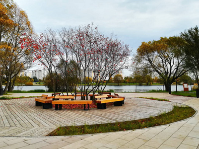 莫斯科公园南部布托沃池塘秋天