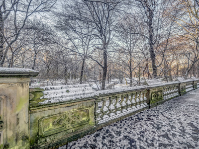 清晨下雪后，纽约中央公园