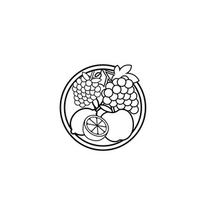 一套矢量黑白葡萄苹果蓝浆果柠檬石灰标志设计模板。概念设计元素和图标的线性风格。葡萄苹果蓝浆果柠檬石灰分离卡通插图。