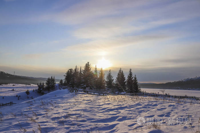 日落俄罗斯西伯利亚的森林