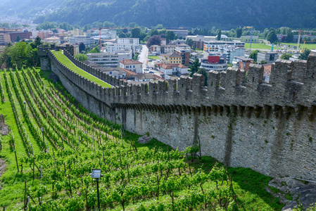 卡斯特尔盖德城堡在贝林佐纳瑞士阿尔卑斯山联合国教科文组织世界遗产