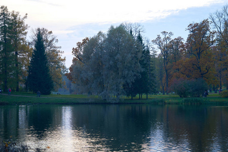 公园池塘附近的秋树