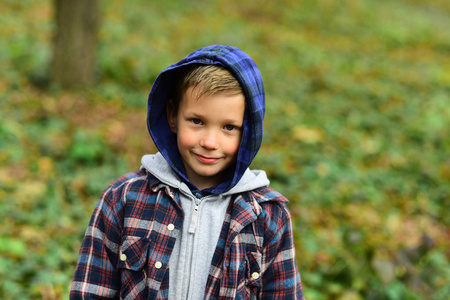 短暂的生命图片