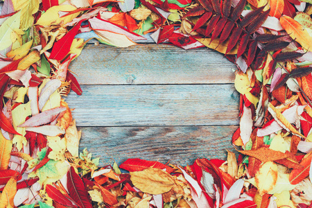 木制背景，一帧明亮的彩色秋叶，带有复制空间