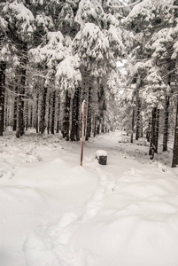 斯洛伐克边境上的马里波洛姆山，冬天有雪和森林。