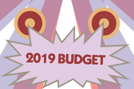 概念手写显示2019预算。商业照片展示商业财务计划的新年投资策略