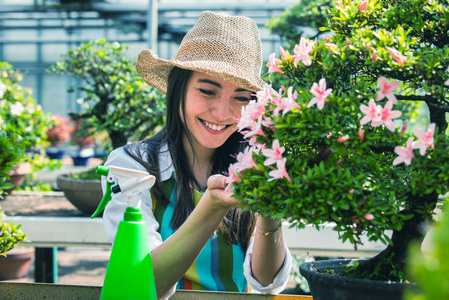 美丽的女园丁在她的花草中照顾植物，在一个温室里工作的亚洲