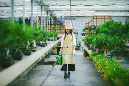 美丽的女园丁在她的花草中照顾植物，在一个温室里工作的亚洲