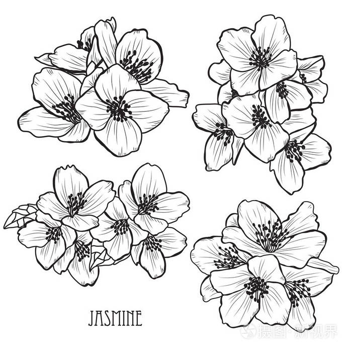 可用于卡片,邀请横幅,海报,印刷设计. 线条艺术风格的花卉背景