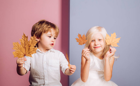 小男孩和女孩在季节性衣服与金黄叶子。快乐的小孩子玩树叶和看相机