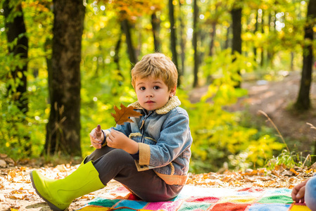 孩子的爱。你好秋天再见夏天。秋天叶子逗人喜爱的男孩秋季自然背景。童年概念