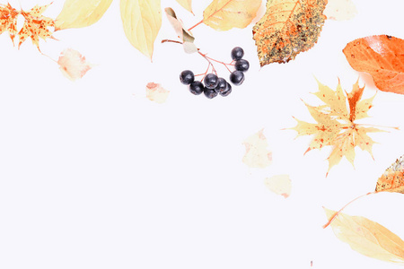 秋季作文。由秋季干多色叶子和野浆果在白色背景的框架。秋季, 秋季的概念。平躺, 顶部视图, 复制空间