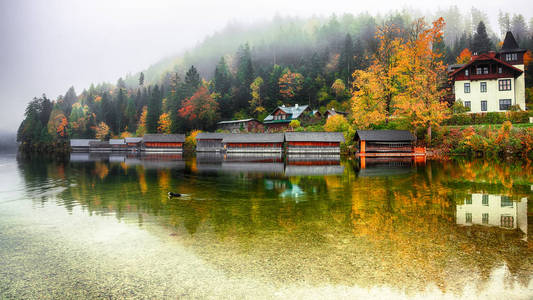雾蒙蒙的早晨在阿尔塔西村。早晨的秋天景象。 镜子反射。 地点奥地利阿尔托西利森地区度假村。 欧洲。