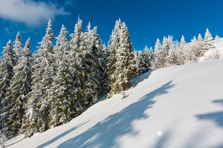 冬季平静的山景，山坡上有美丽的霜树和雪堆乌克兰喀山脉