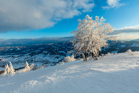 傍晚，冬天平静的山景，山坡上有美丽的霜树和雪堆乌克兰喀山脉