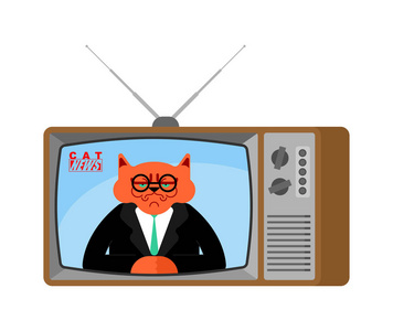 猫新闻旧电视。宠物直播。动物广播记者。电视演播室的野兽主播。
