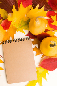秋季垂直近距离摄影与明亮的彩色树叶和成熟的南瓜在黄色背景秋季布局与树叶和蔬菜季节性设计。