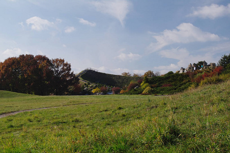 公园秋天五颜六色的叶子。 秋天的自然背景。 秋天的树和树叶