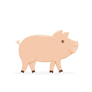 白色背景插图上分离的粉红色小猪。