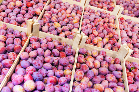 新鲜李子水果在木箱中出售，市场自然食品背景对角线视图