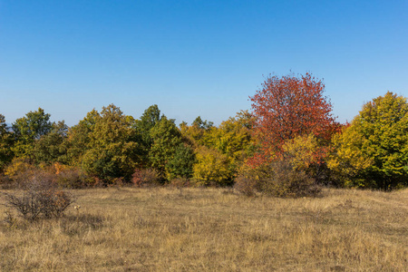 保加利亚切尔纳戈拉蒙特尼格罗山区秋季景观