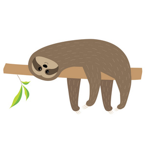 树懒躺在树枝上. 可爱的卡通人物. 毛茸茸的皮毛. 野生丛林动物收藏.