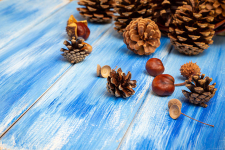 蓝色背景上的棕色锥。 新年圣诞节和秋天的背景。 自然的乡村风格。 极简主义