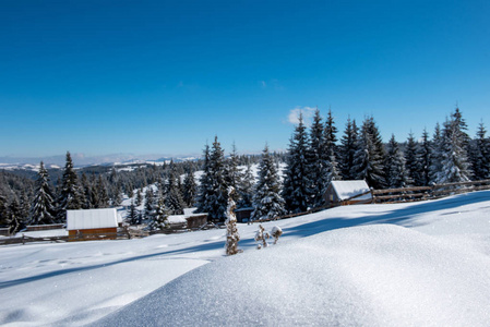 罗马尼亚特兰西瓦尼亚的高山村。 冬天白雪覆盖的房子