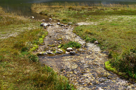 泉水山河和北高加索可爱的岩石溪。 山地自然景观照片