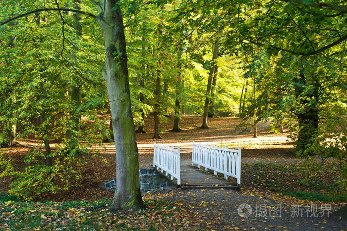 秋天公园里的白色小桥
