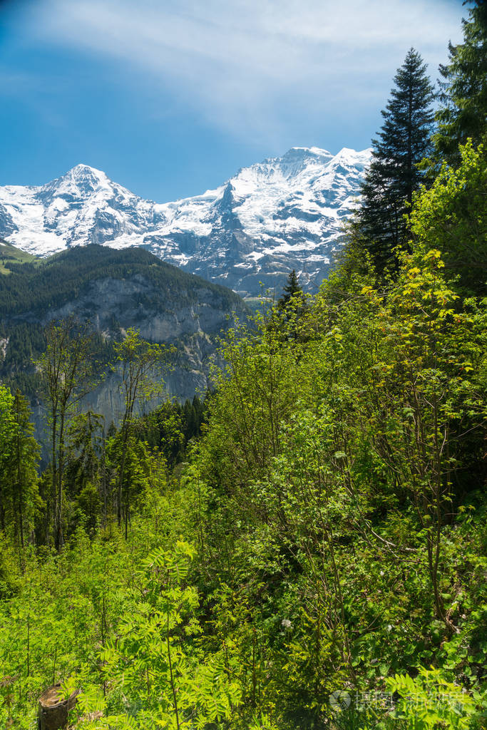 瑞士劳特布伦宁区斯泰切尔伯格附近瑞士阿尔卑斯山景观的壮观山景和