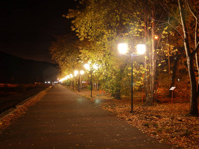 城市公园. 夜间快照. 有长凳的小巷. 路灯的亮黄色灯.