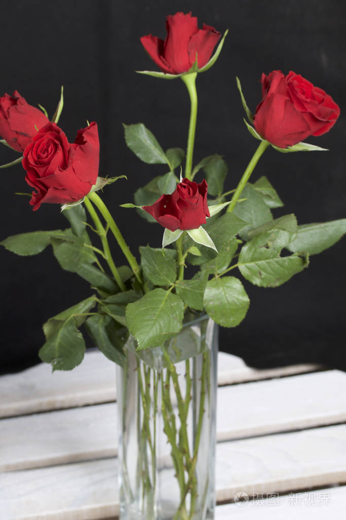 玻璃花瓶里的一束红玫瑰五朵花在黑色背景上