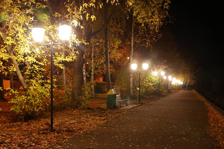 巷子路灯城市公园. 夜间快照. 有长凳的小巷. 路灯的亮黄色灯.