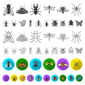 不同种类的昆虫在集合中的平面图标设计。昆虫节肢动物矢量符号股票网页插图