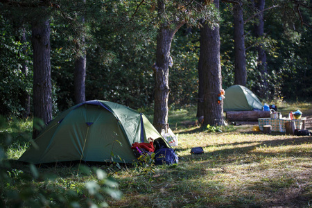 帐篷在森林里的阳光下，黄色和绿色的帐篷。 在帐篷里的树林里为夜晚停车