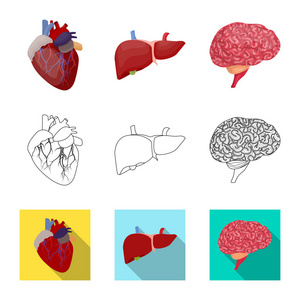 人体和人体图标的矢量图示。网络的身体和医疗股票符号集