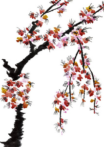一棵开花的树的树枝。樱花的粉红色花朵。水彩和水墨插图在风格苏米e，u辛..东方传统绘画。孤立在白色背景上。